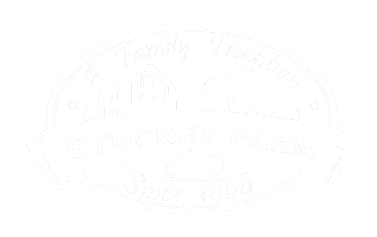 stuckey