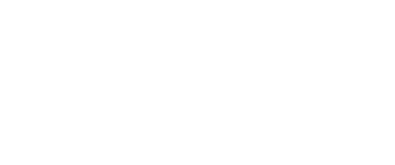 the carry