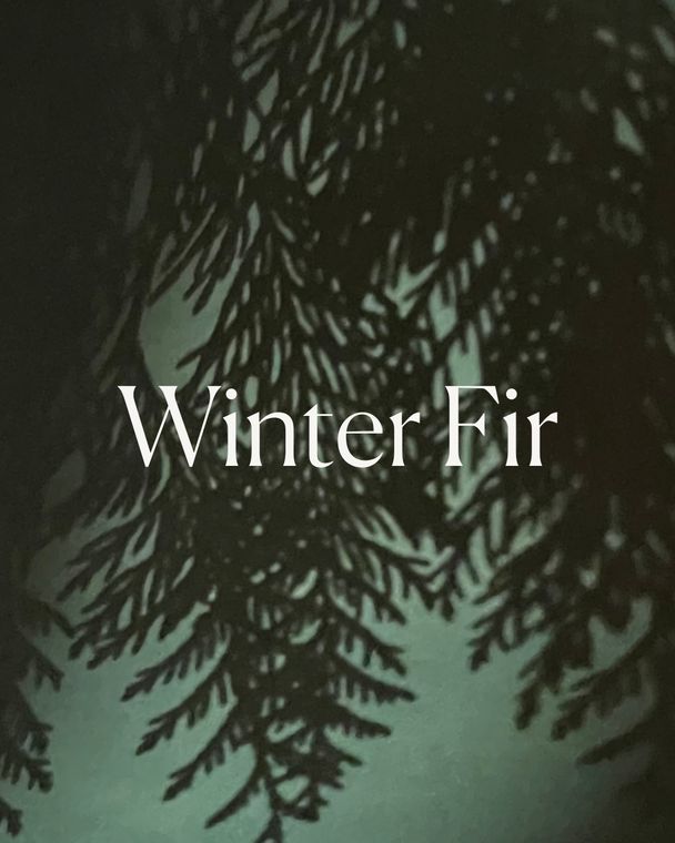 Winter Fir cover